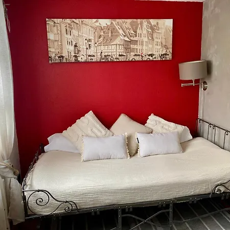 Bed & Breakfast Appartement De Caractere Au Calme 15 Mins Quartier Historique, Gite Du Merlenchanteur Schiltigheim