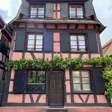 Appartement De Caractere Au Calme 15 Mins Quartier Historique, Gite Du Merlenchanteur * Schiltigheim