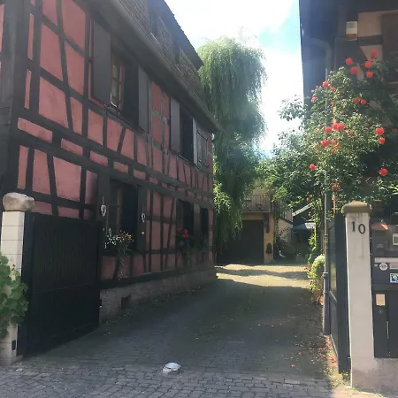 Appartement De Caractere Au Calme 15 Mins Quartier Historique, Gite Du Merlenchanteur Bed & Breakfast Schiltigheim
