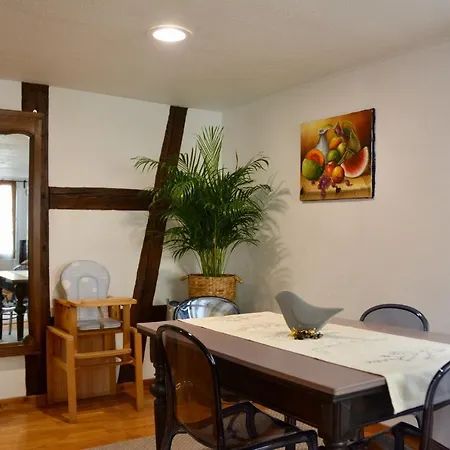 Bed & Breakfast Appartement De Caractere Au Calme 15 Mins Quartier Historique, Gite Du Merlenchanteur Schiltigheim