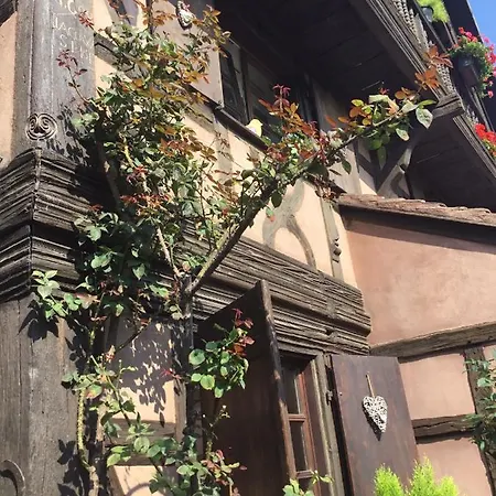 Au Merlenchanteur Schiltigheim